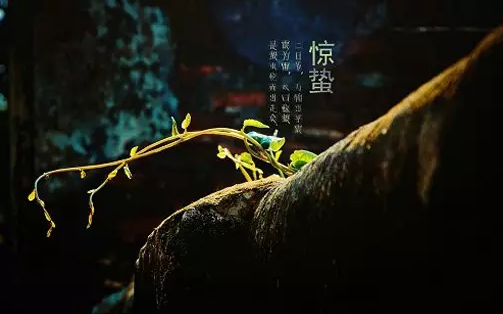 ???м???????澪??
